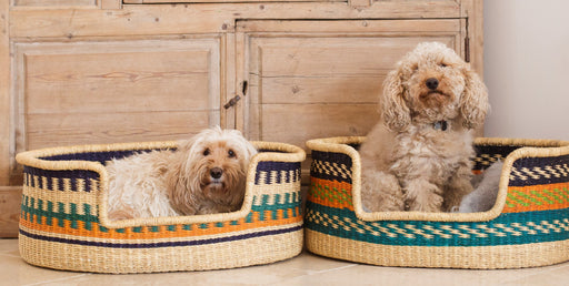 Large Dog Baskets