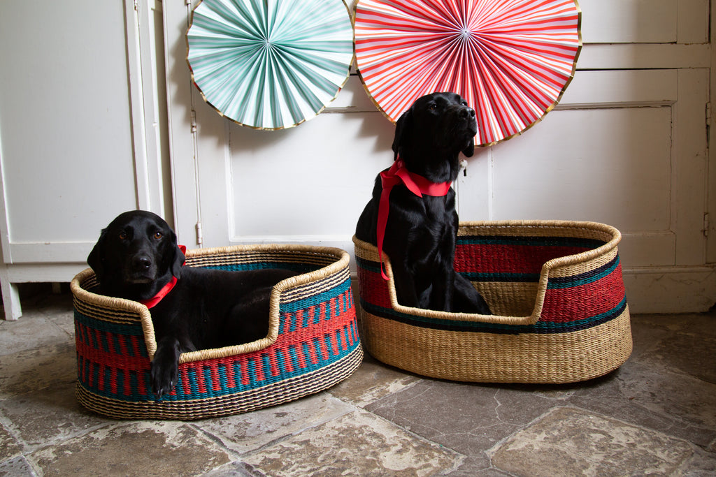 Wovenology Dog Baskets each hand woven in a choice of fabulous designs and colours 